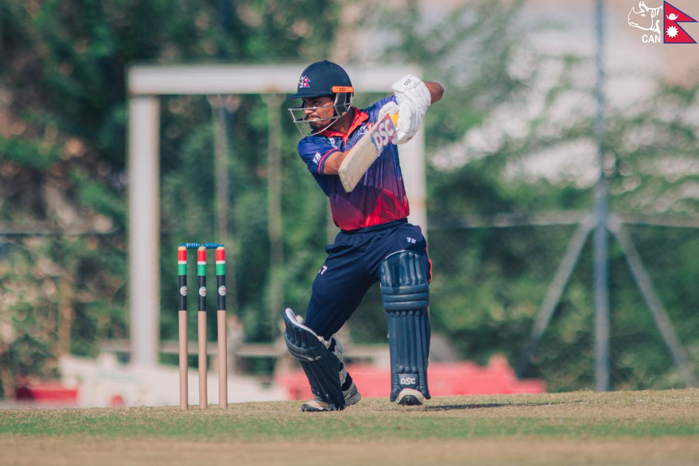 Nepal Defeated Japan By 5 Wickets